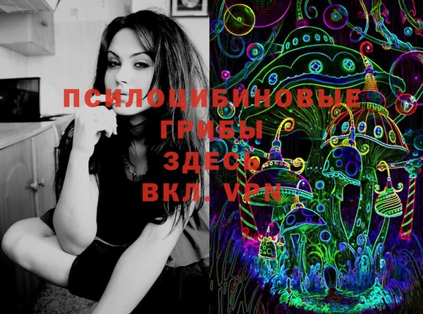 круглые Алзамай