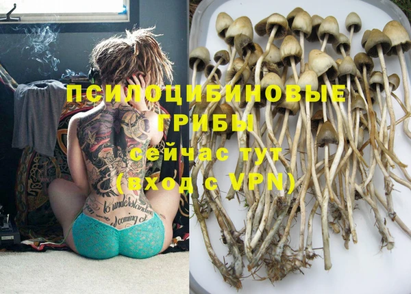 ECSTASY Алексин