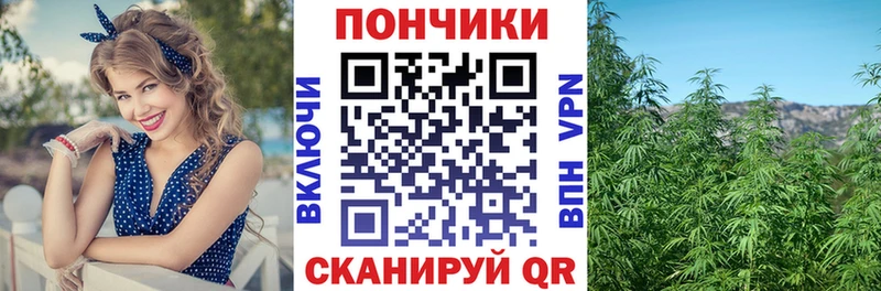 Шишки марихуана план  Осинники 